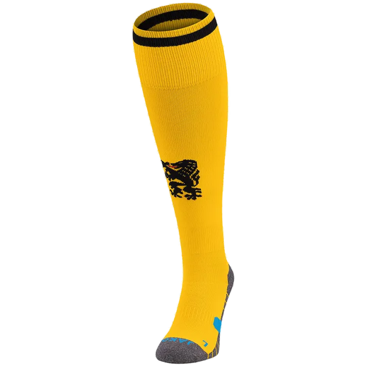Dynamo Dresden Stutzenstrumpf Home