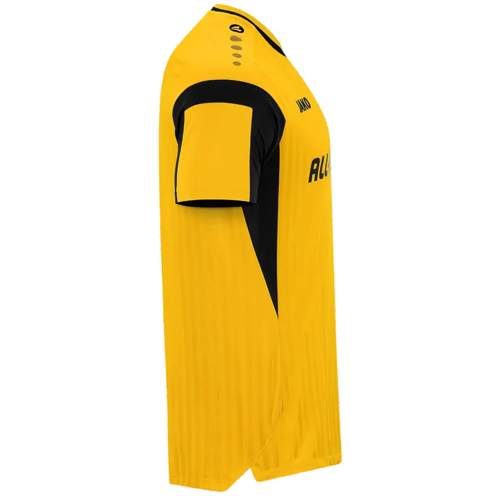 Dynamo Dresden Shirt Home