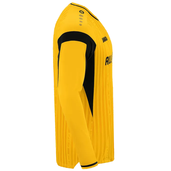Dynamo Dresden Trikot Home Langarm