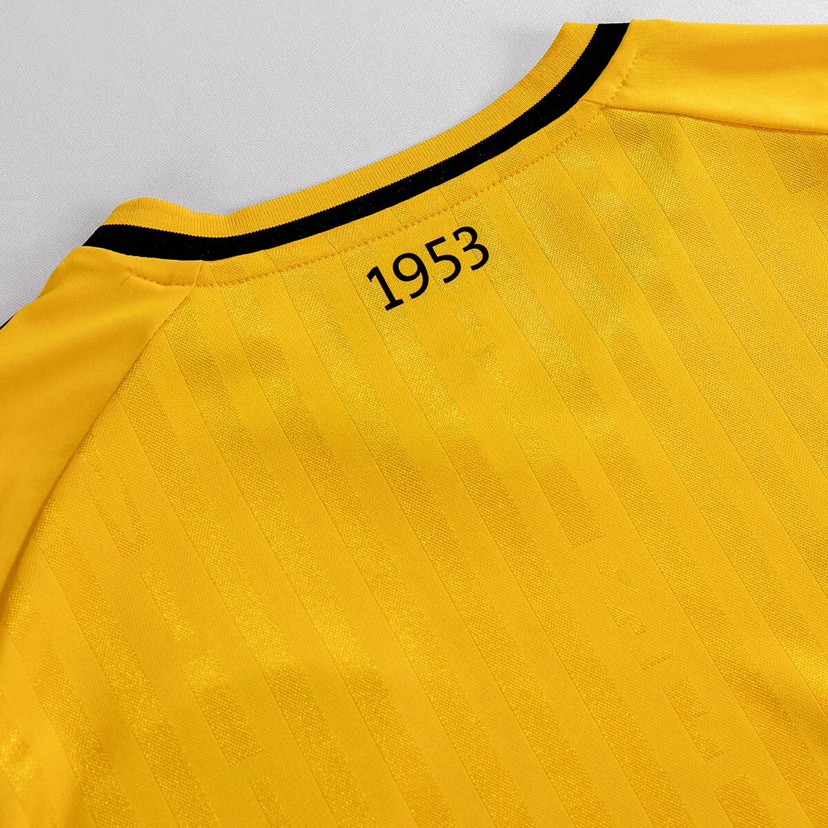 Dynamo Dresden Shirt Home